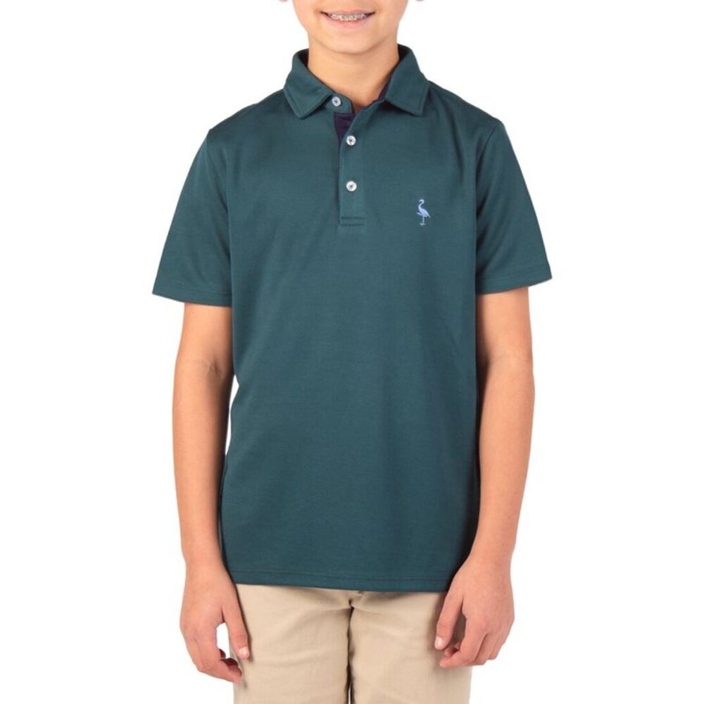 Tailorbyrd Boys  Solid Polo Shirt, Green